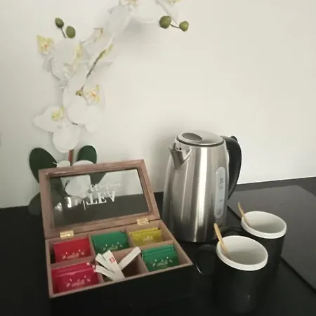 The Manhattan Suite - Appartement 1 Chambre - Glamour Et Spacieux A Moins De 10 Min De Charleroi Airport Jumet